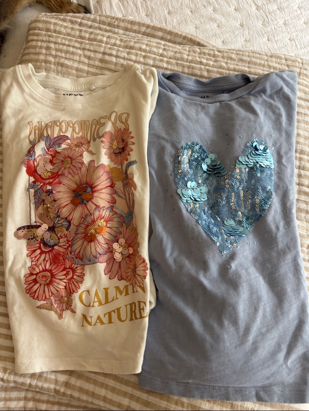 Next Cream Floral Graphic Sequin Tee & Light Blue Sequin Heart Tee - Twin Pack